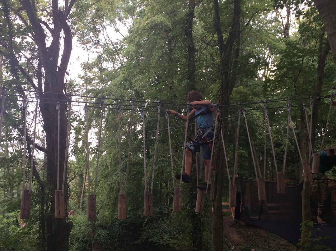 Ecopark Adventures-图尔奈必去景点