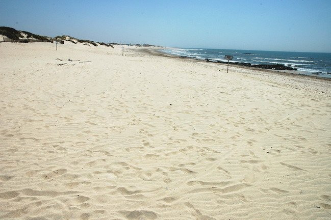 Praia de Cepaes景点图片
