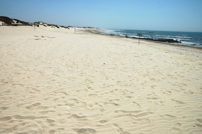 Praia de Cepaes景点图片