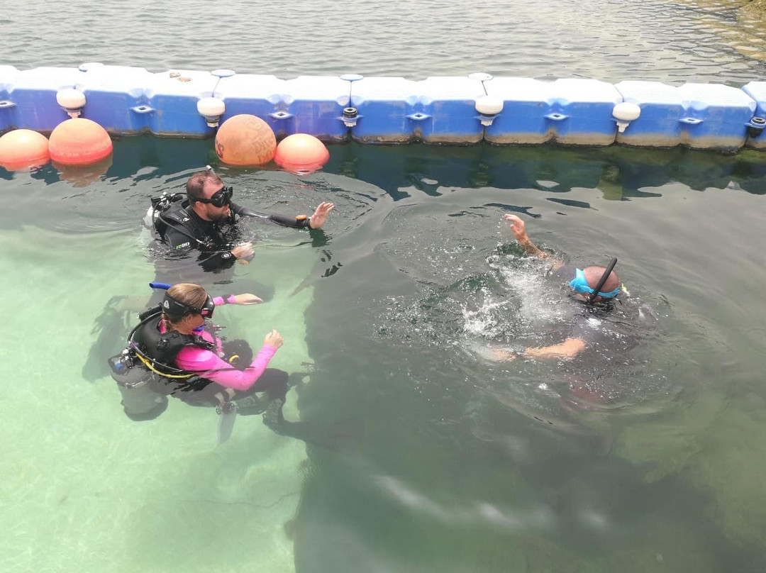 Divers Down景点图片