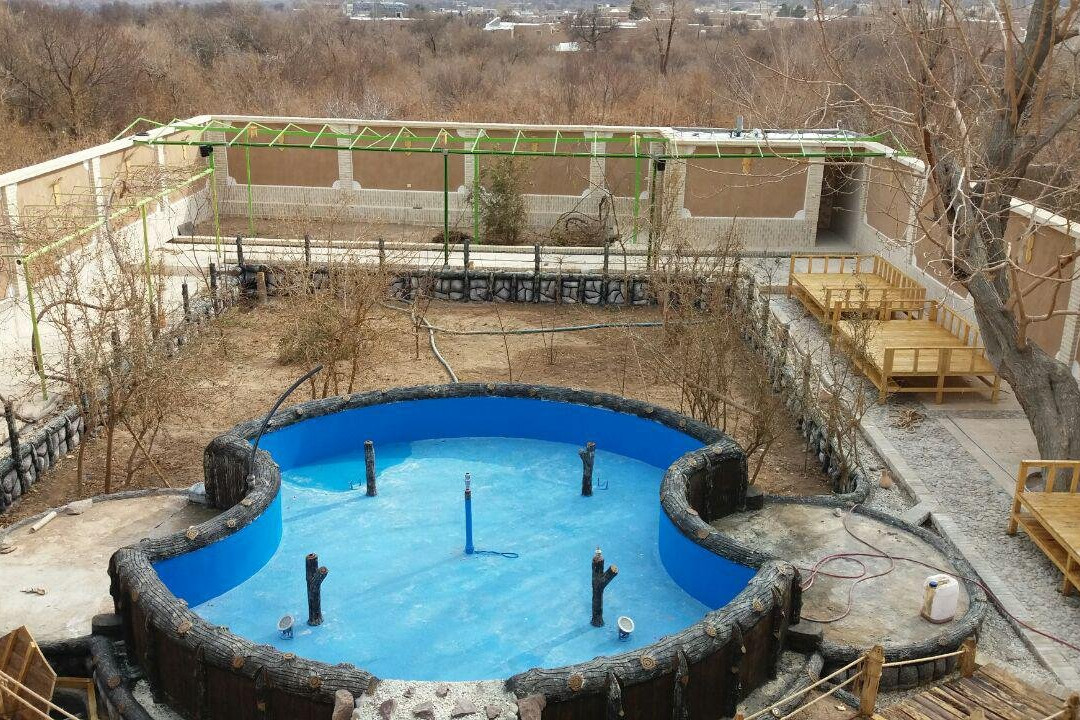 Bagh e Do Sarv主图