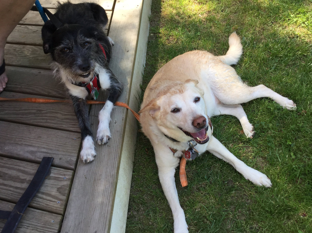 Kenny's Tipperary Inn主图