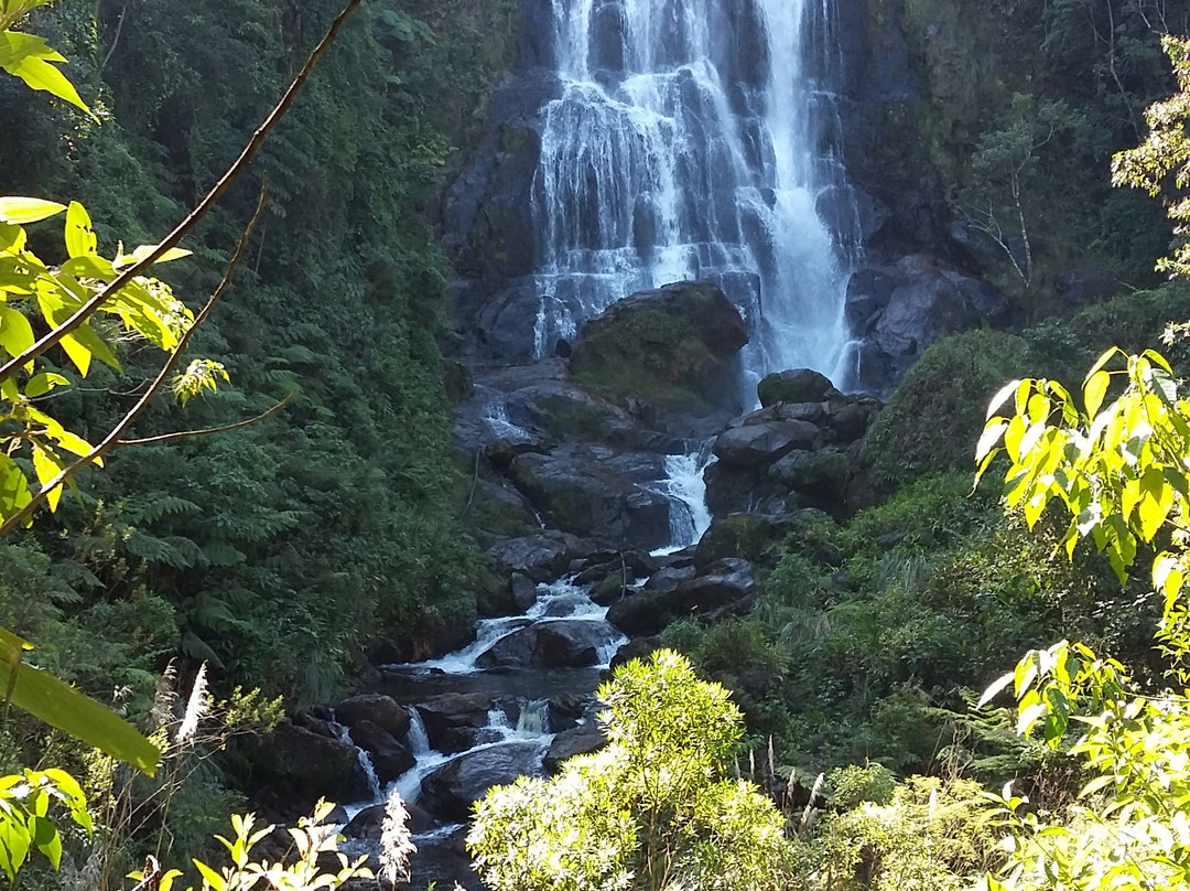Cachoeira do Pacau景点图片