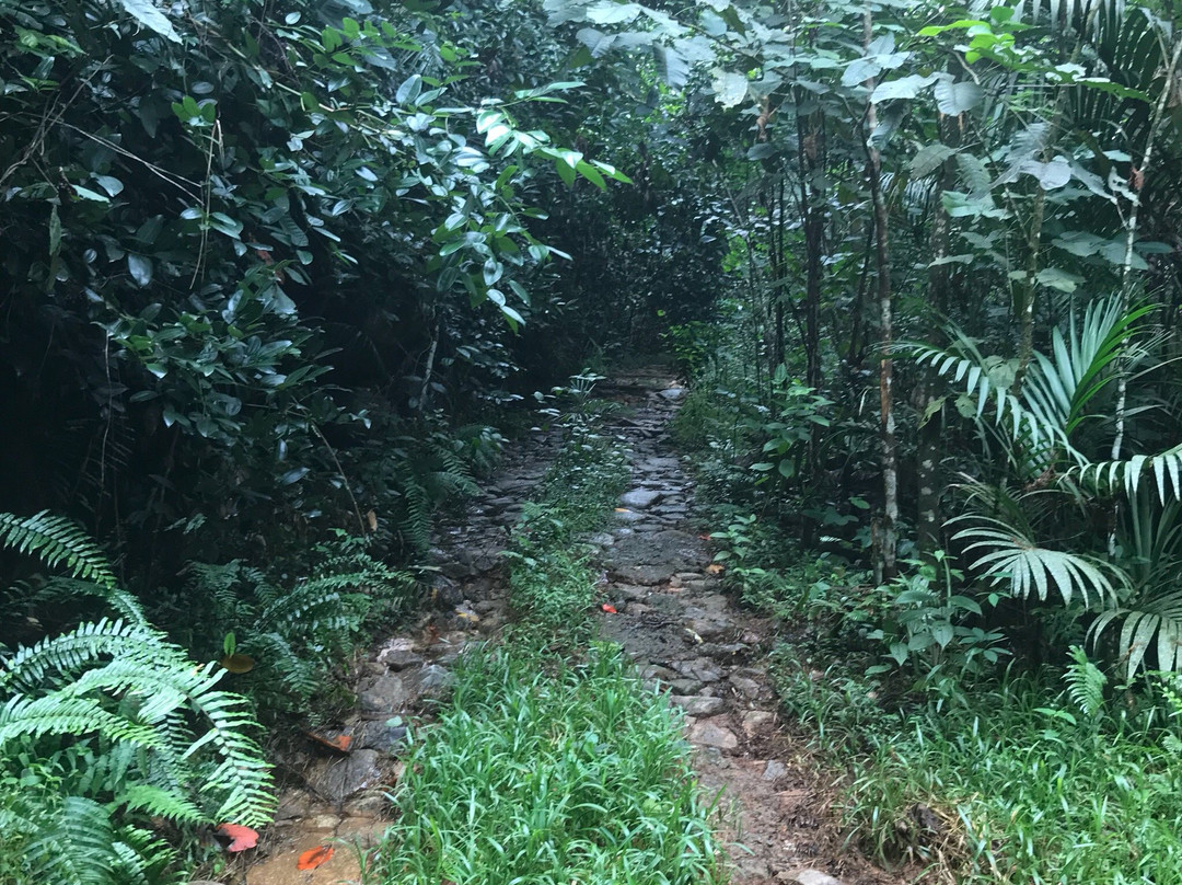 Grand Anse Waterfall景点图片