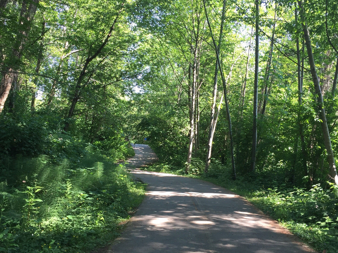 Old Orchard Park-穆迪港必去景点