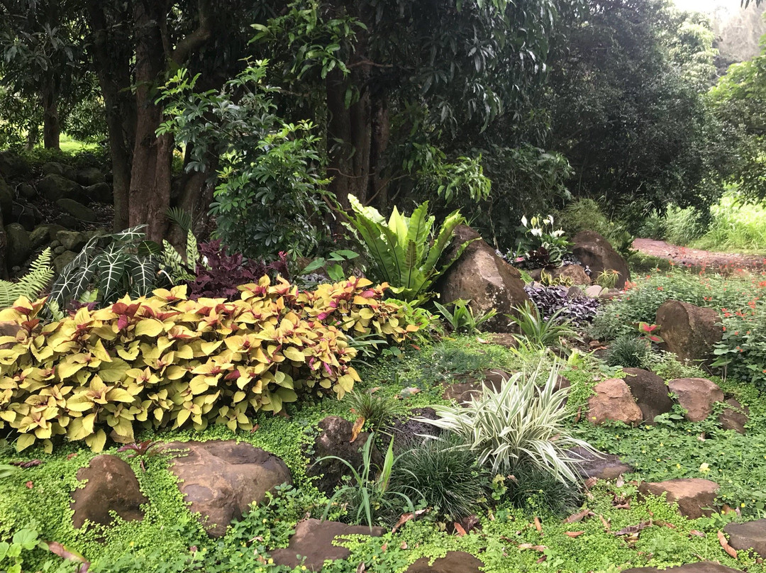 夏威夷岛霍欧马鲁西亚阿虎普哈库疗养酒店主图