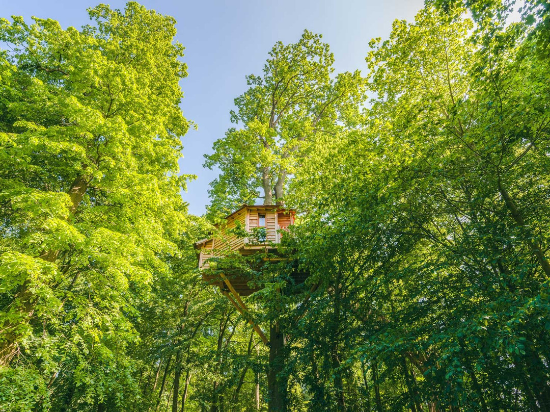 Cabanes des Grands Chênes