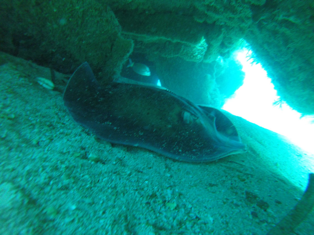Djerba Sub Diving Center景点图片