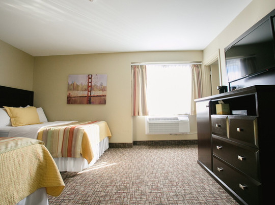 The Sleepy Owl主图