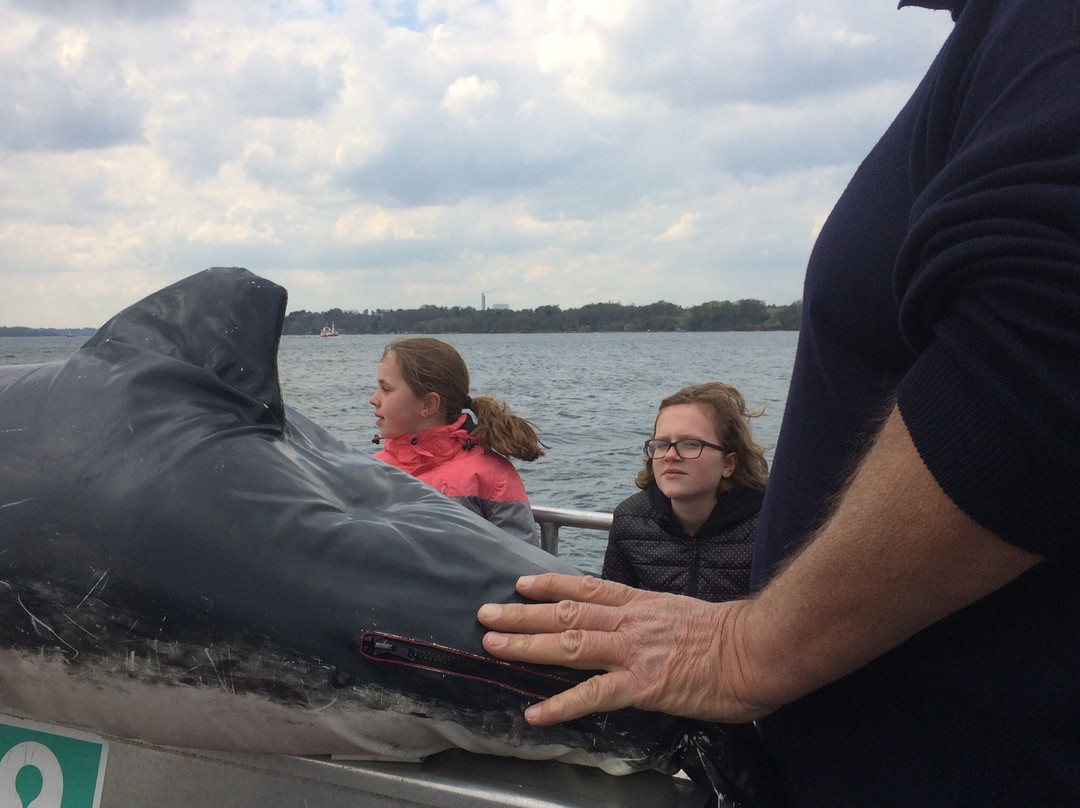 Gammel Havn, Middelfart-米泽尔法特必去景点