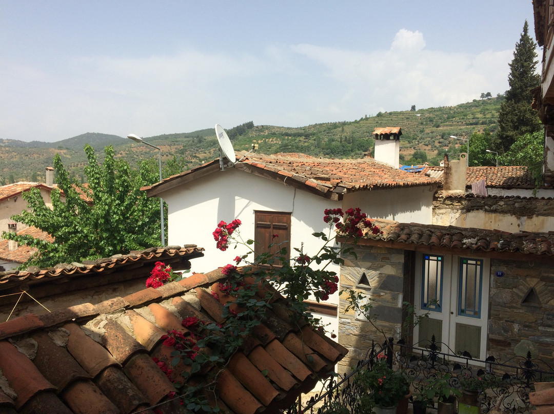 Sihirbazin Evi主图