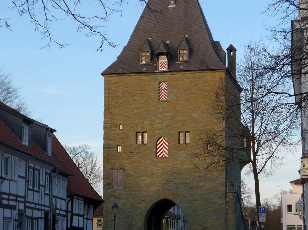 Osthofentor und Osthofentormuseum景点图片