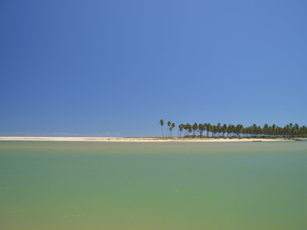 Bahia Vacations Private Tours-萨尔瓦多必去景点