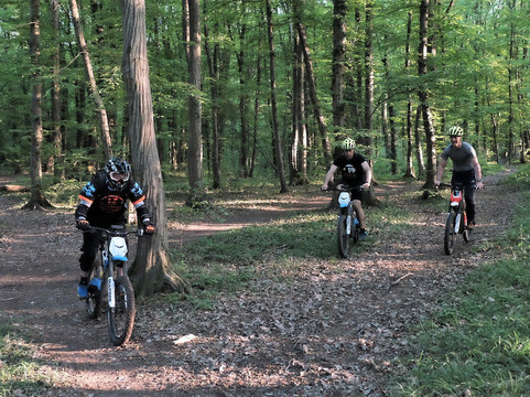 Electric Motions-萨格勒布必去景点