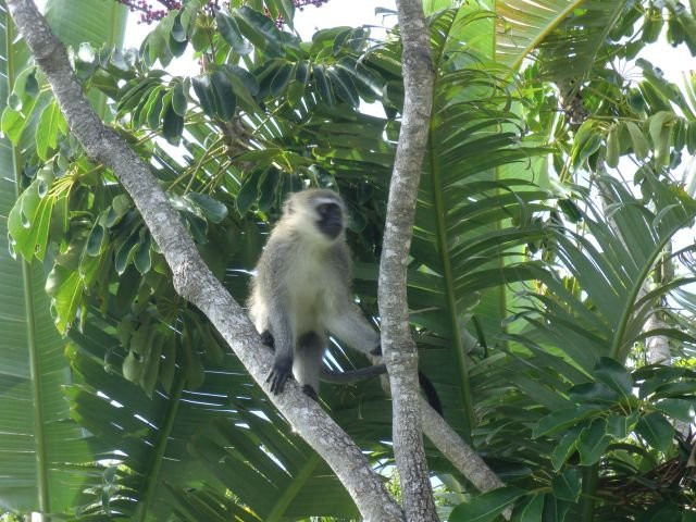 Hildesheim Guest Lodge主图