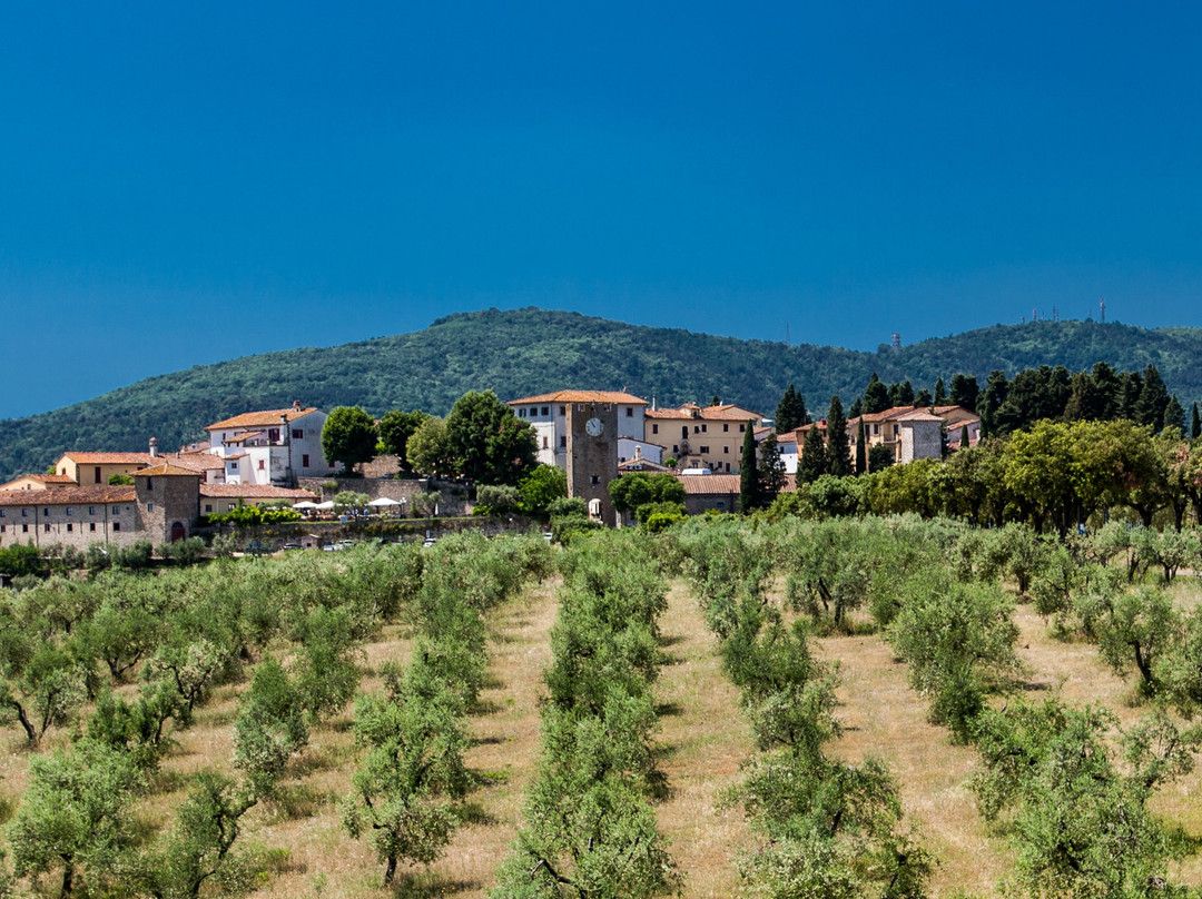 Tenuta Di Artimino Appartamenti