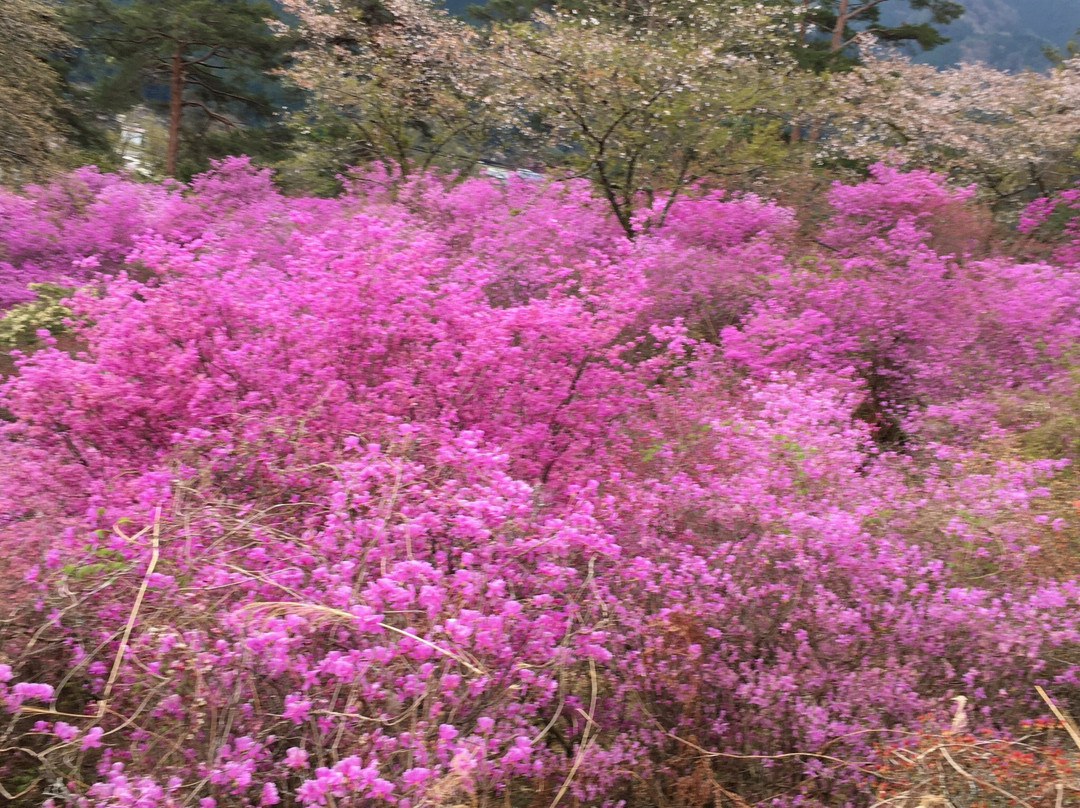 Tempaku Park-南木曾町必去景点