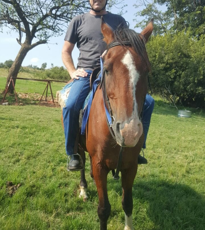 African Horse Safaris景点图片