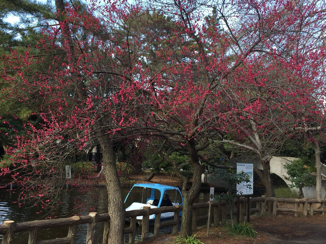 石神井公园景点图片