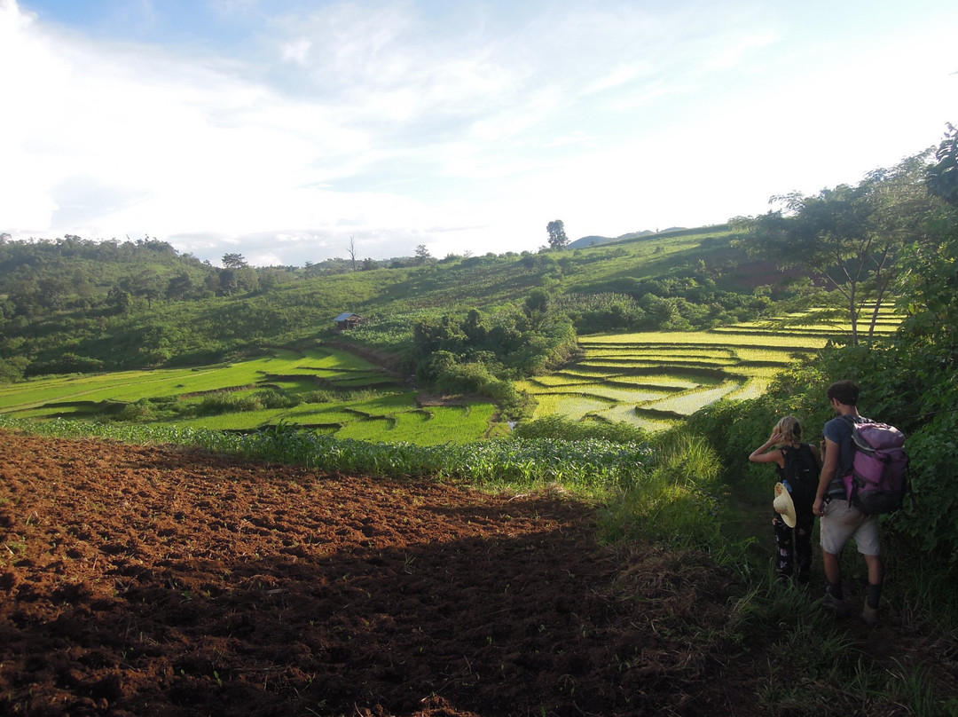 Trek Myanmar Tours-西保必去景点