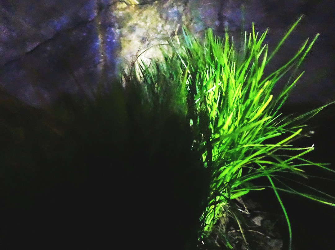 秦岭太白峰-眉县必去景点