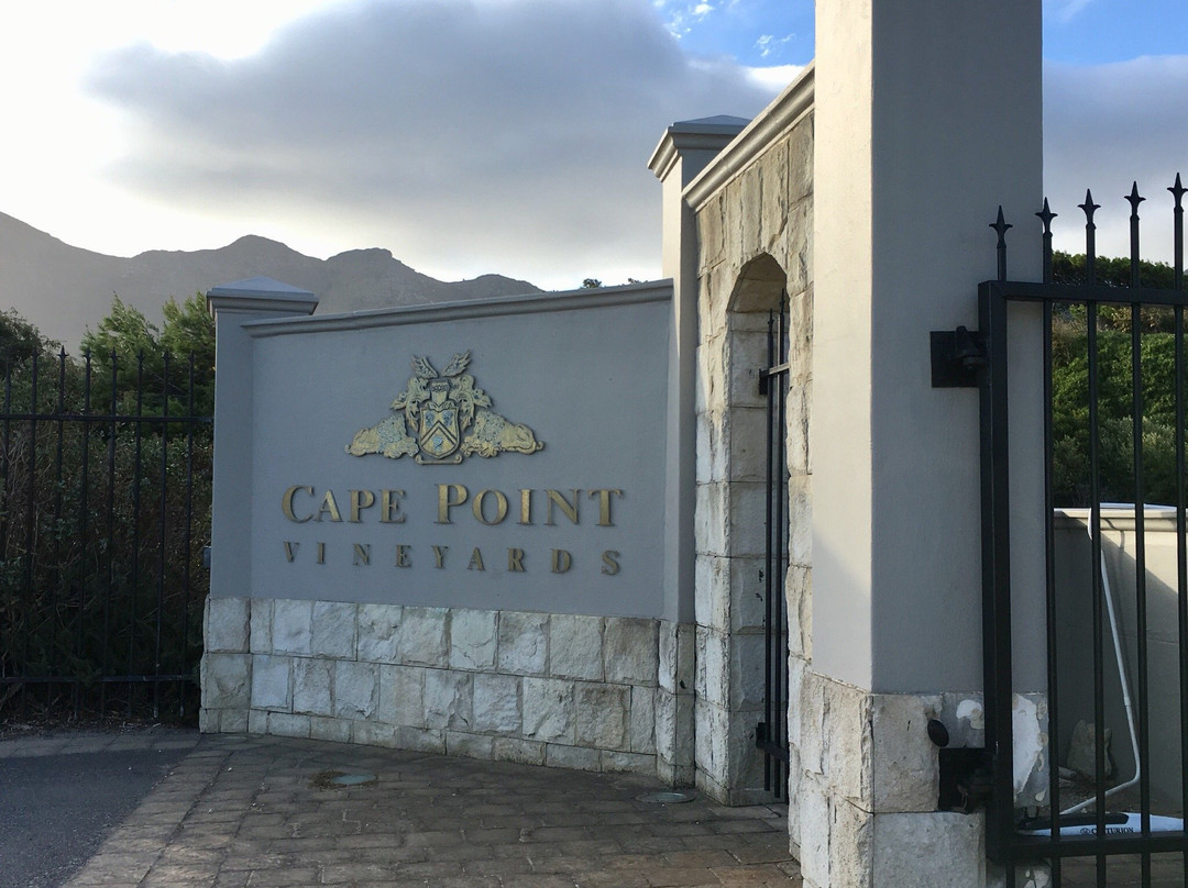 Cape Point Vineyards Tasting Room景点图片