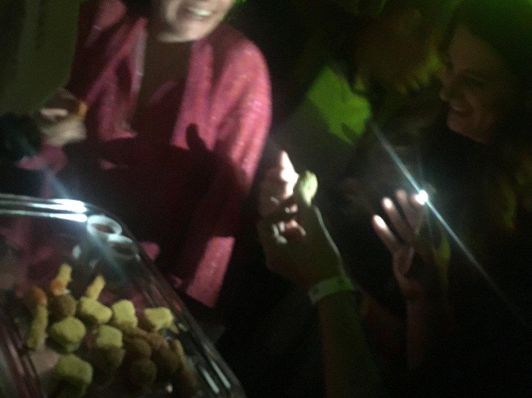 Versuz-哈瑟尔特必去景点