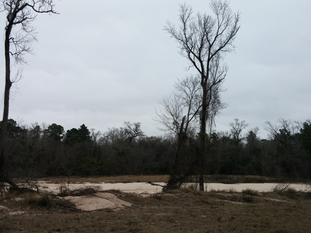 Spring Creek Greenway-斯普林必去景点