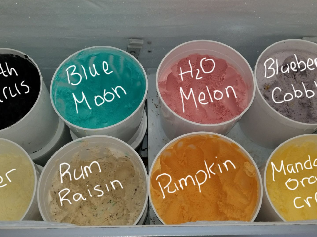 Walrus Ice Cream Co.