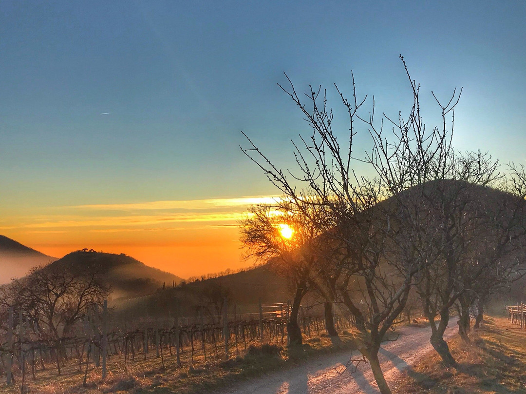 Parco Regionale dei Colli Euganei-Este必去景点