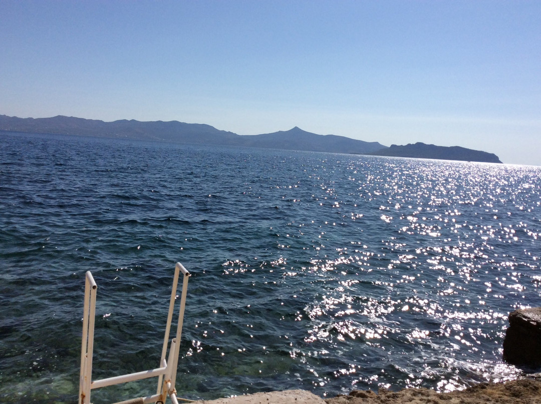 Rosy's Little Village主图