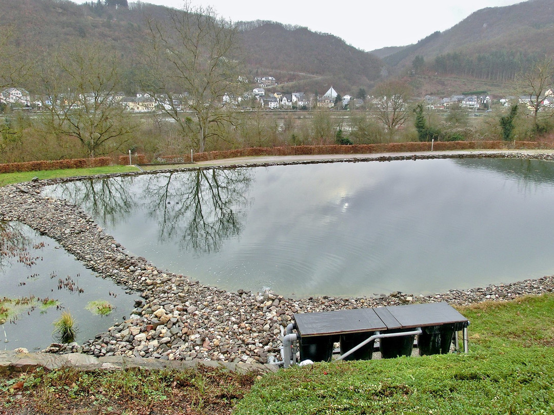 Moselstern Parkhotel Krahennest主图