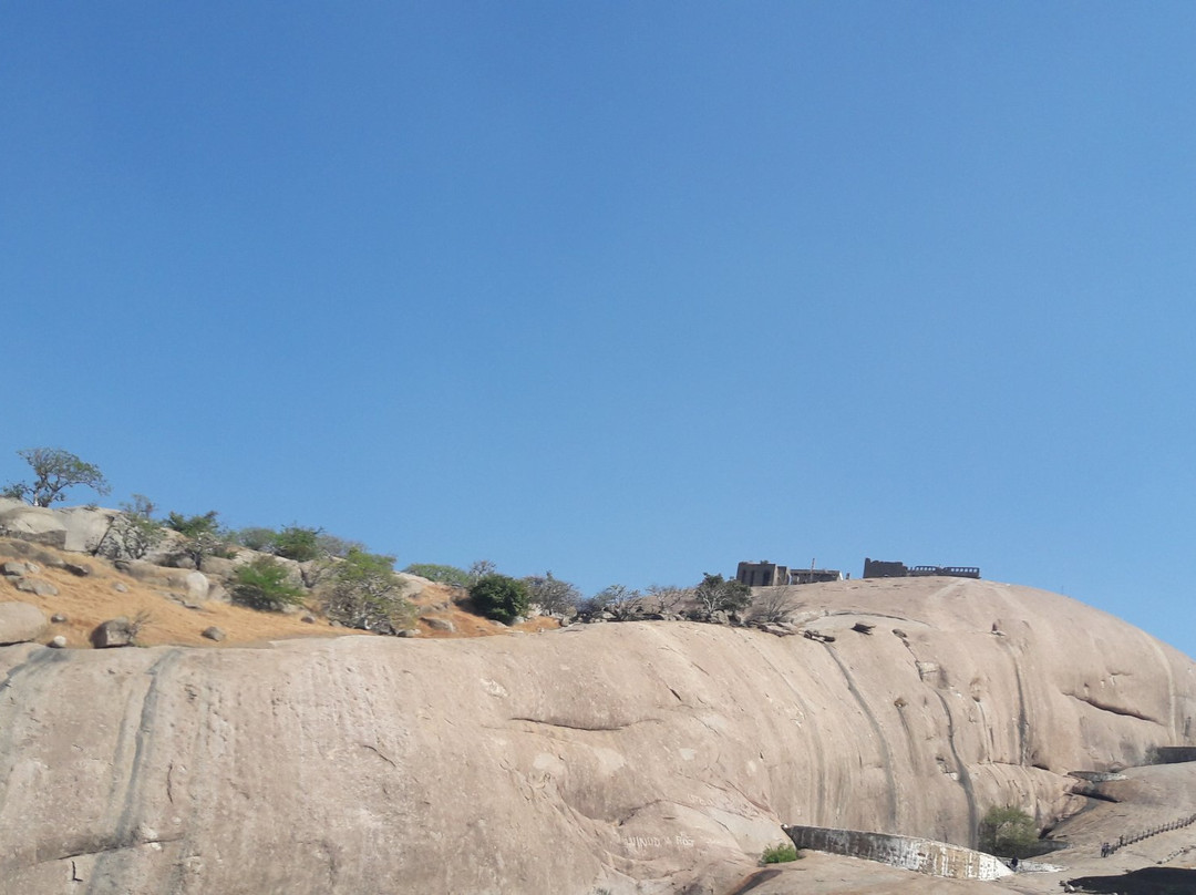 Bhongir Fort景点图片