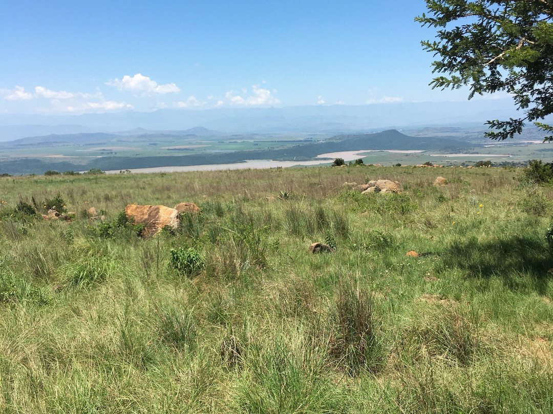 BushBaby Safaris - Day Tours-丹地必去景点