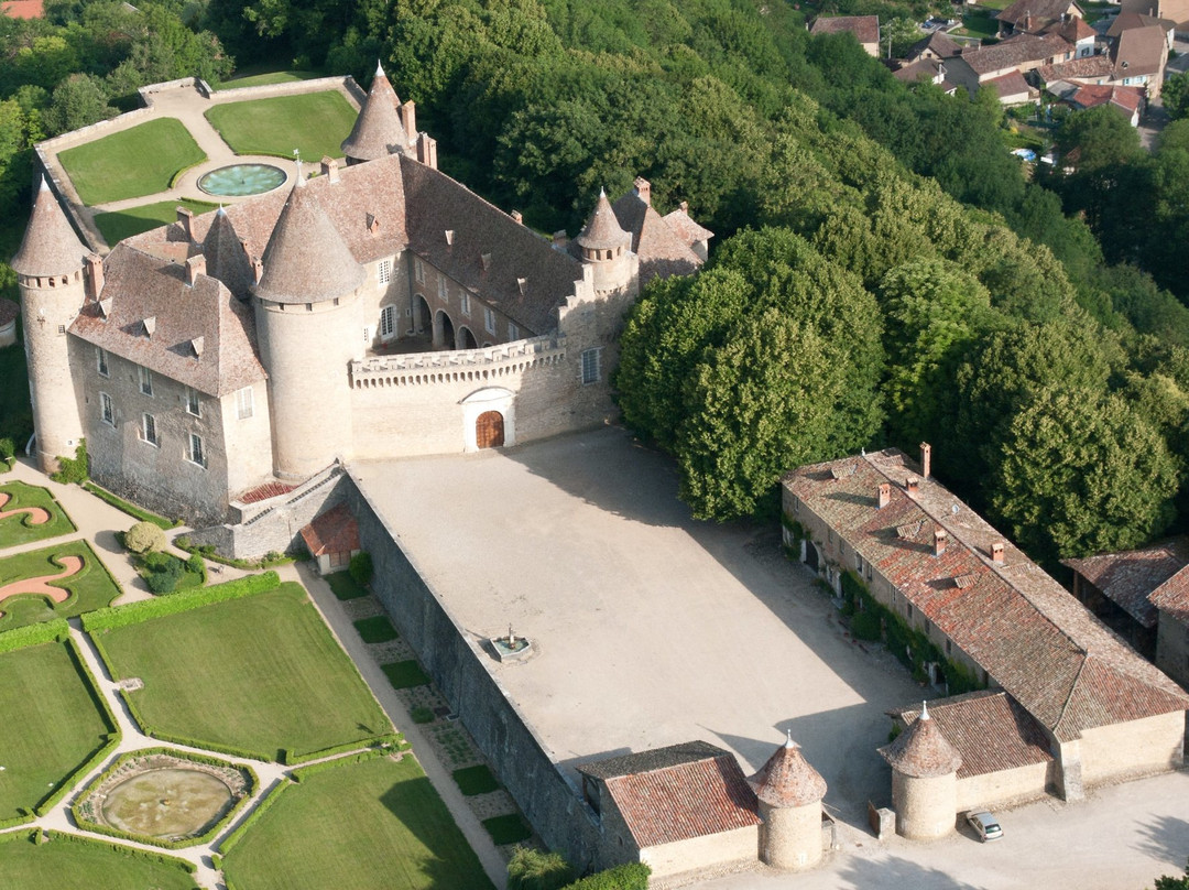 Virieu Castle景点图片