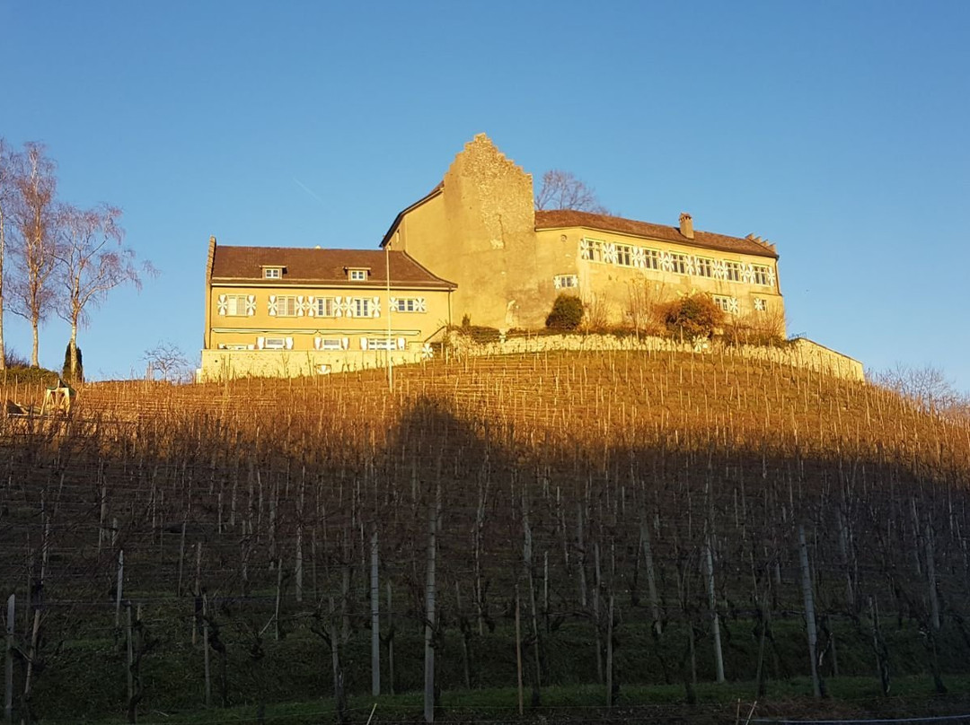 Oberstammheim餐馆和美食-Schloss Schwandegg Restaurant & Hotel