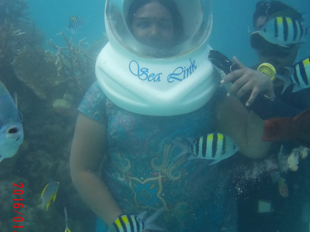 Sea Link Adventures-布莱尔港必去景点