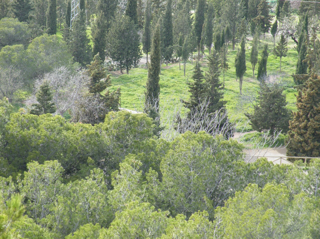 Parque Periurbano de Castala景点图片