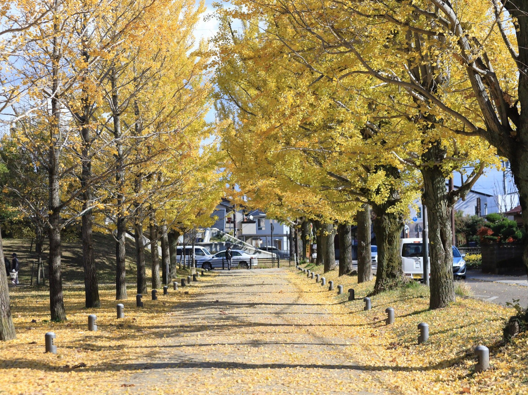 Manabi no Mori-各务原市必去景点