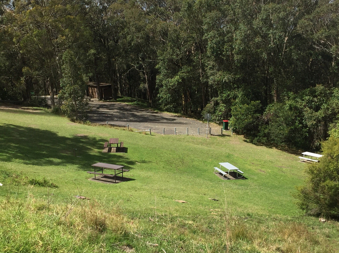 Mount Sugarloaf-Wallsend必去景点