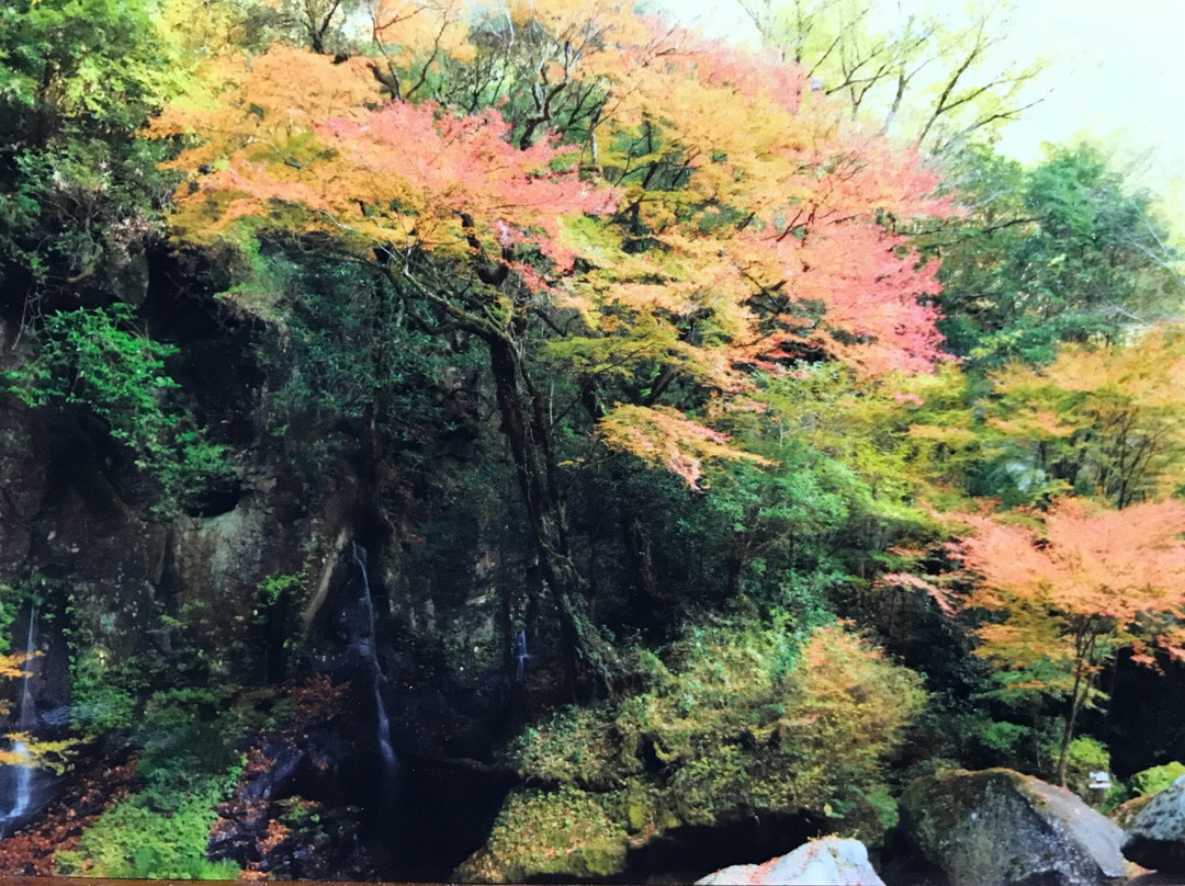 Yusui Shizen no Mori景点图片