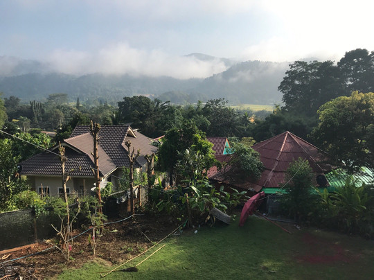 Forest Guesthouse主图