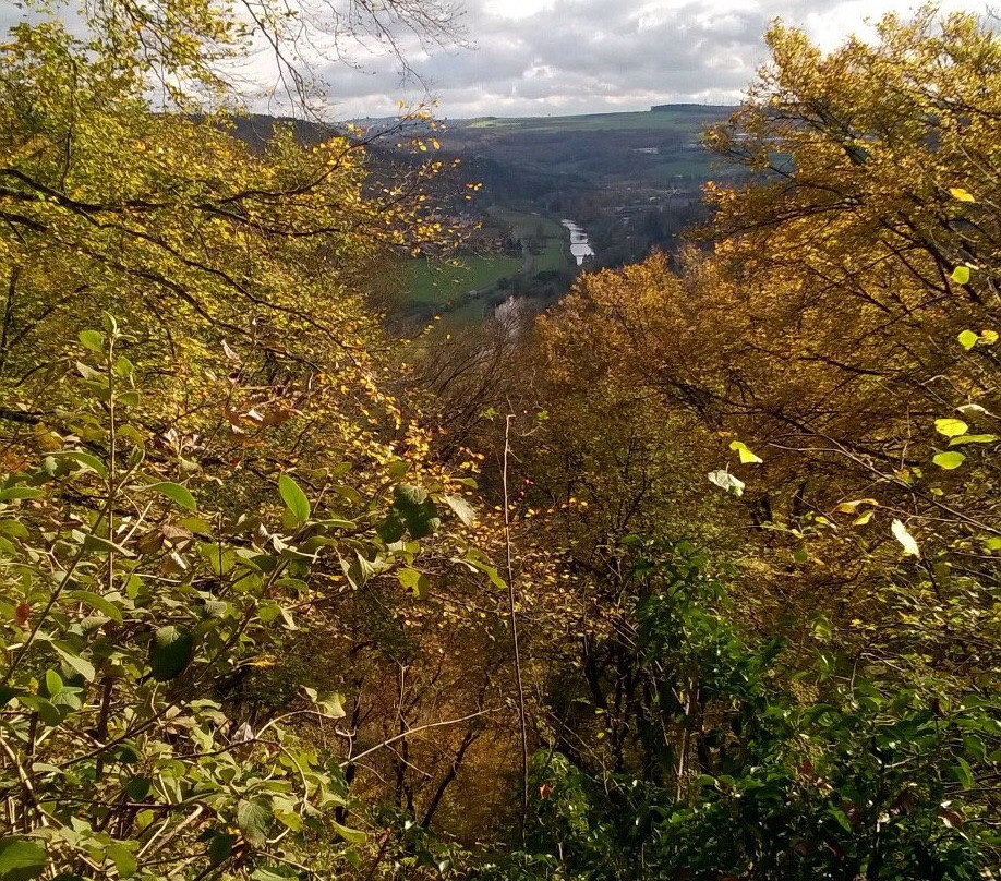 Gorges Du Loup景点图片