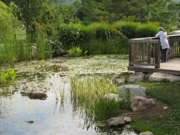 Hahn Horticulture Garden at Virginia Tech景点图片