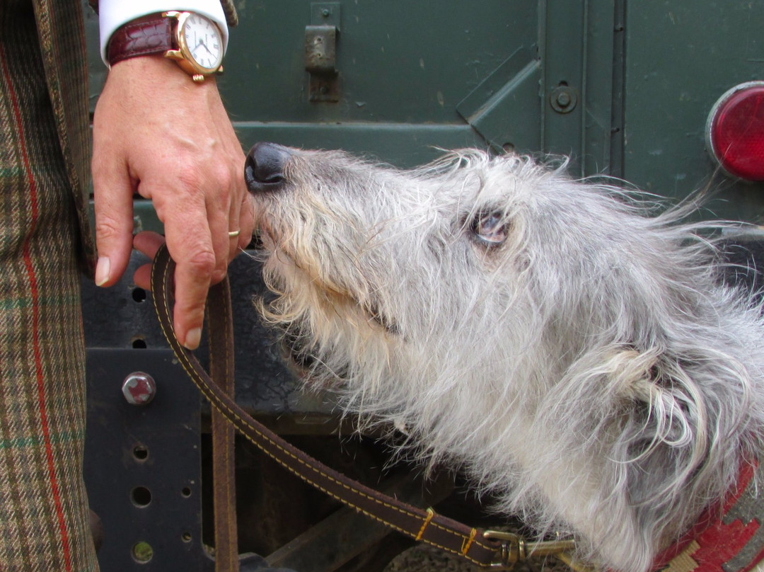 Loomes & Co, Watchmakers-斯坦福德镇必去景点