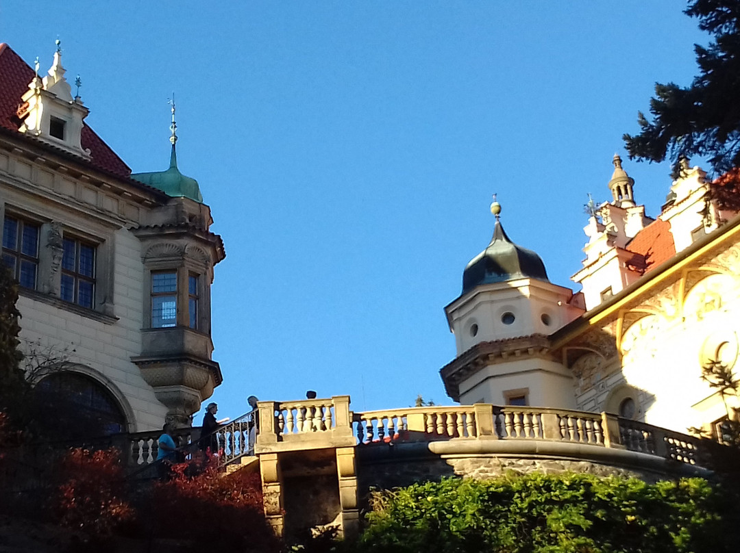Průhonický Park a Zámek景点图片