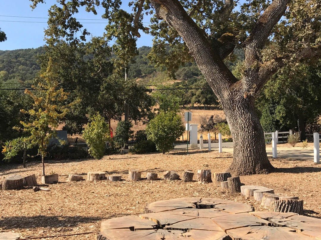 Museum on Main-普莱森顿必去景点