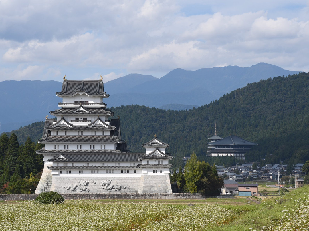 Katsuyama Castle Museum景点图片