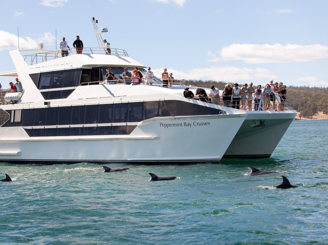 Peppermint Bay Day Cruises-霍巴特必去景点
