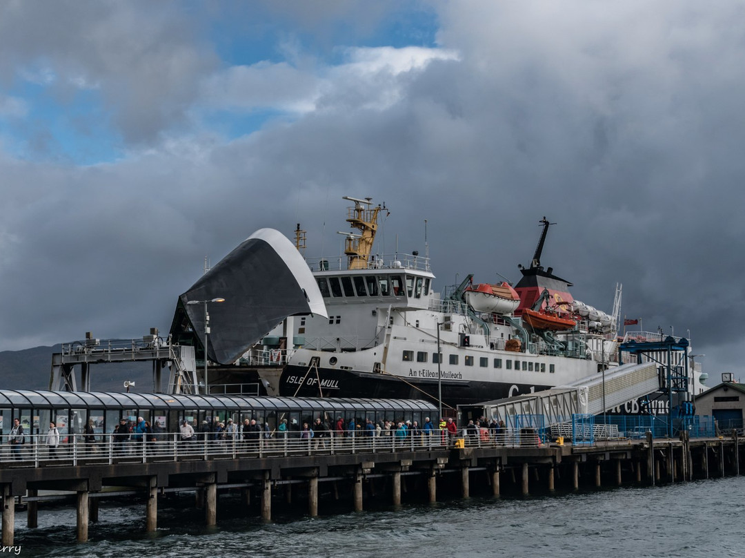 Caledonian MacBrayne - Tobermory Day Trips景点图片